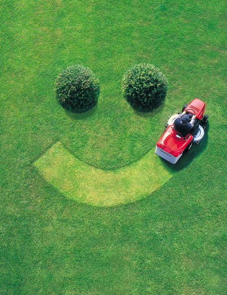 happy smile grass